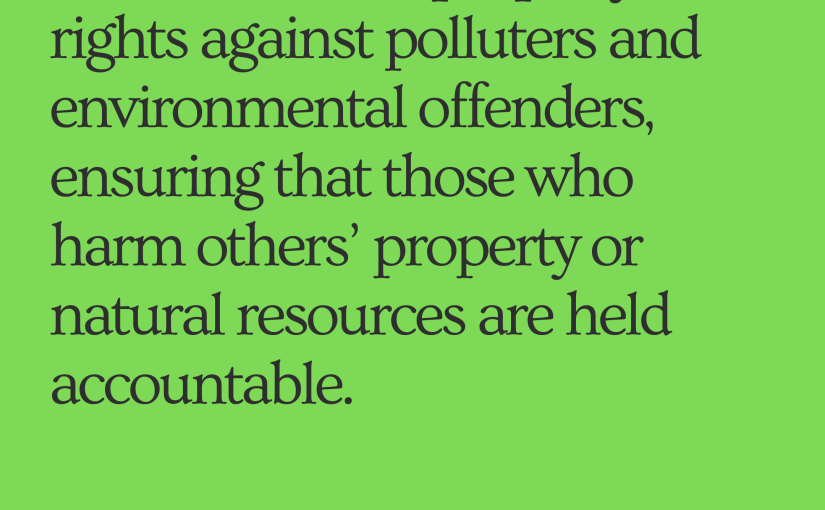 We advocate for strict enforcement of property rights against polluters and environmental offenders, ensuring that those who harm others’ property or natural resources are held accountable.