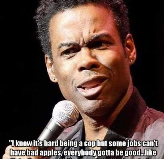 “I know it’s hard being a cop but some jobs can’t have bad apples, everybody gotta be good… ie pilots. American Airlines can’t be like most of our pilots like to land, we just got some bad apples that like to crash into mountains.” – Chris Rock