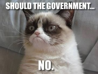 Should the govt… no.